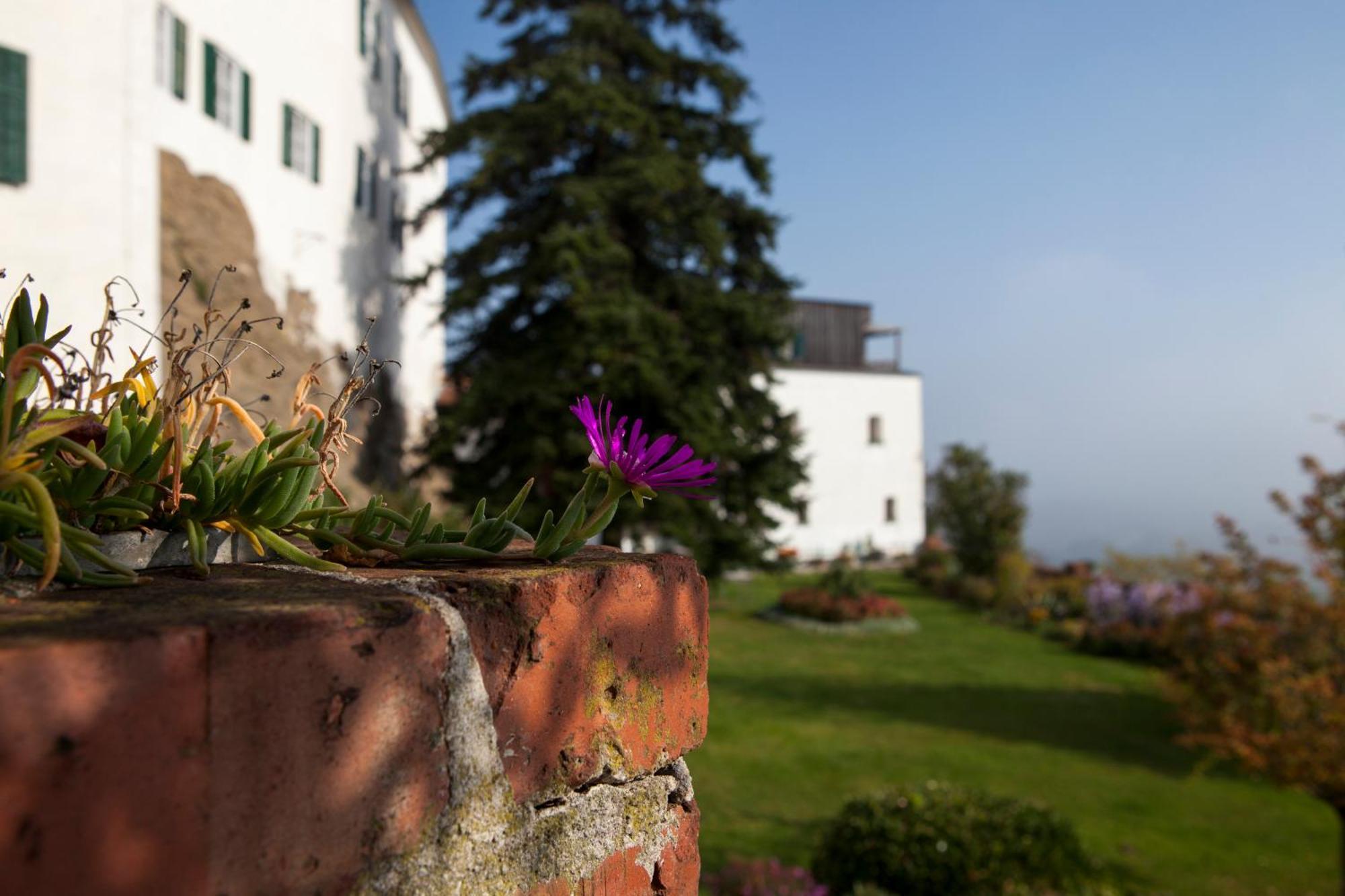 Schloss Kapfenstein Eksteriør bilde